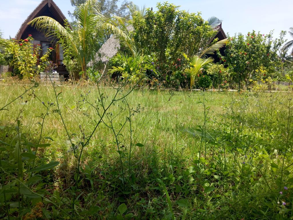 Hotel Rose Bungalow Pemenang Exteriér fotografie