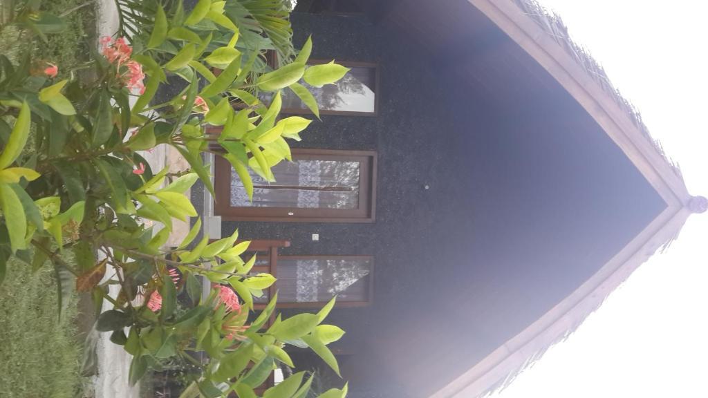 Hotel Rose Bungalow Pemenang Exteriér fotografie
